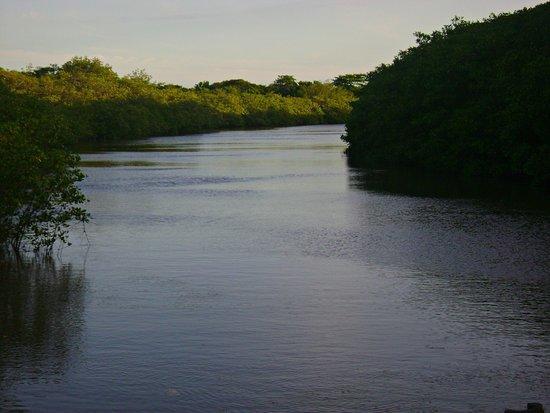 Pousada Barra Mares ميوكيوري المظهر الخارجي الصورة