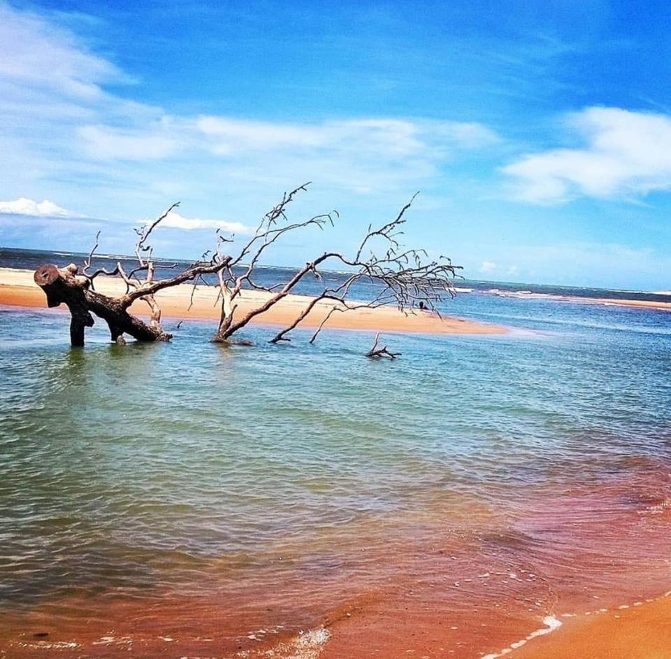 Pousada Barra Mares ميوكيوري المظهر الخارجي الصورة